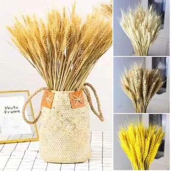 100 kozarcev Posušene Wheats Kup, ki Simbolizirajo Blaginjo Novo Življenje, Dnevna Soba, Vrt Poroko Hotel Dekoracijo Prosta Posušeno cvetje