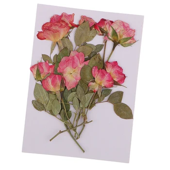 10x Pritisnete Posušenih Cvetov Rose DIY Telefon Primeru Zaznamek Smolo Nakit za likovno Izdelavo Papirja, Darilne Embalaže Obrti