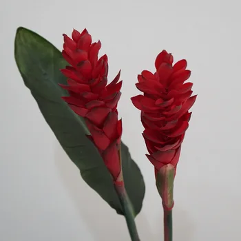 80 cm Pravi Dotik Simulacije Ingver Lotus Ponaredek Cvet Doma Vrt Dekoracijo Umetno Cvetje Ureditev Cvet