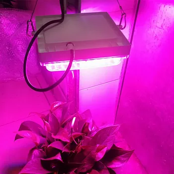 LED grow Light 300W Ffs Svetilke Celoten Spekter 450+660NM Rastejo svetilke Za notranjo sadika šotor Toplogrednih cvet fitolamp rastlin