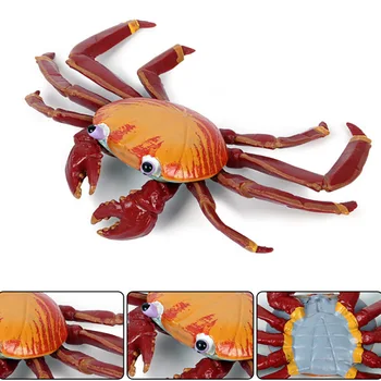 Rakovice Živali Model Akcijskega Slika Simulacije Sea Life figuric Zbiranje PVC Lepa Igrača, Otroci Darilo